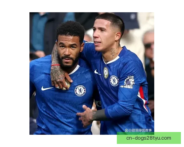 切尔西再领一红追平英超纪录